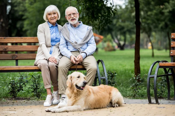 Sonriente senior pareja sentado en madera banco y lindo perro acostado cerca - foto de stock