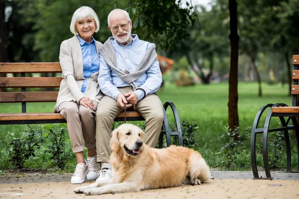 Happy senior couple sitting on wooden bunch and adorable golden retriever dog lying nearby — Stock Photo