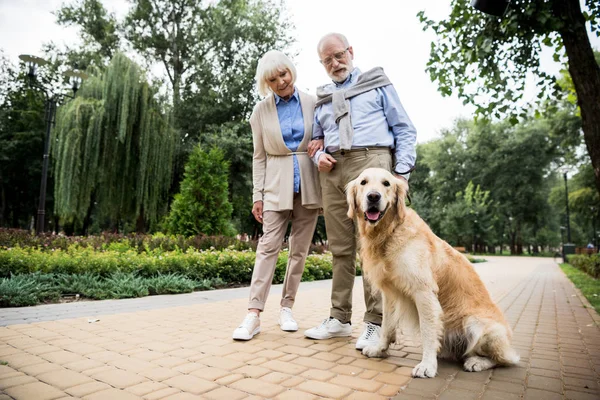 Happy senior couple with golden retriever dog in park — Stock Photo