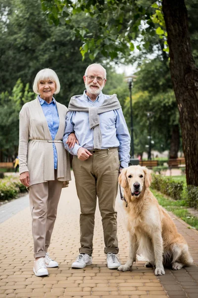 Feliz sonriente senior pareja con adorable perro en parque - foto de stock
