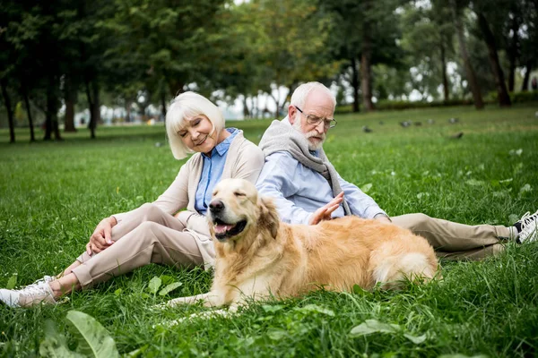 Happy senior couple with adorable golden retriever dog sitting on green lawn — Stock Photo