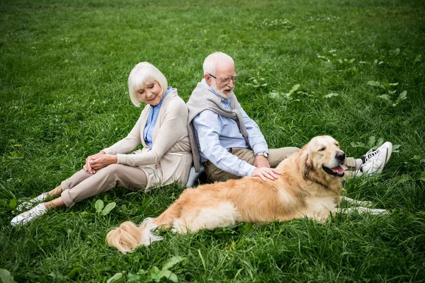 Pareja de ancianos con perro golden retriever descansando sobre césped verde - foto de stock