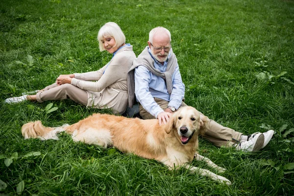 Happy senior couple with adorable golden retriever dog sitting on green lawn — Stock Photo