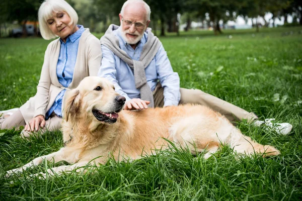 Feliz pareja de ancianos con divertido perro golden retriever descansando en el césped verde - foto de stock