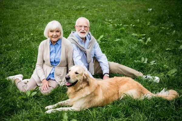 Heureux couple aîné avec adorable chien récupérateur doré assis sur la pelouse verte — Photo de stock