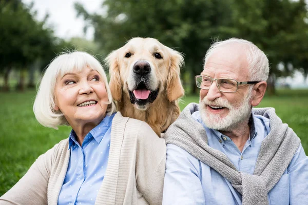 Smiling senior couple looking at adorable dog while resting in park — Stock Photo