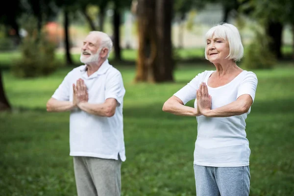 Пожилая пара практикующая медитацию сухасана стоя позирует со сложенными руками — стоковое фото