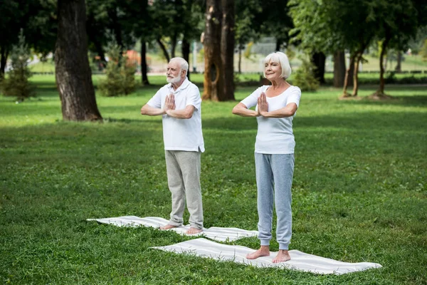 Feliz pareja de ancianos practicando meditación sukhasana de pie posa con las manos dobladas - foto de stock