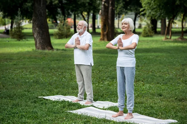 Feliz pareja de ancianos de pie sobre esteras de yoga en la meditación sukhasana de pie posa con las manos dobladas - foto de stock