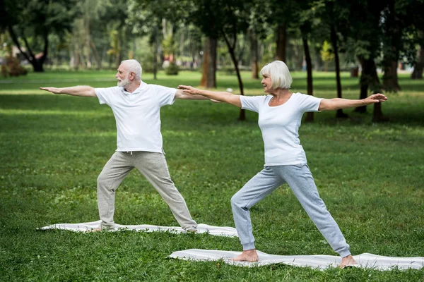 Pareja de ancianos de pie en guerrero II posa sobre colchonetas de yoga en el parque - foto de stock