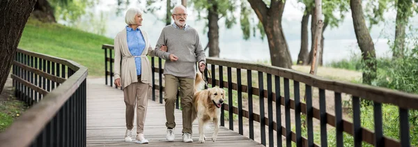 Smiling senior couple walking with golden retriever dog in park — Stock Photo
