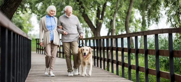 Feliz pareja de ancianos caminando con el perro a través de puente de madera en el parque - foto de stock