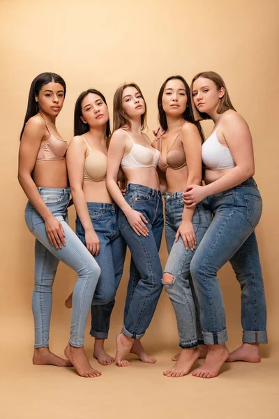 Five serious multicultural girls in blue jeans and bras looking at camera together, body positivity concept — Stock Photo