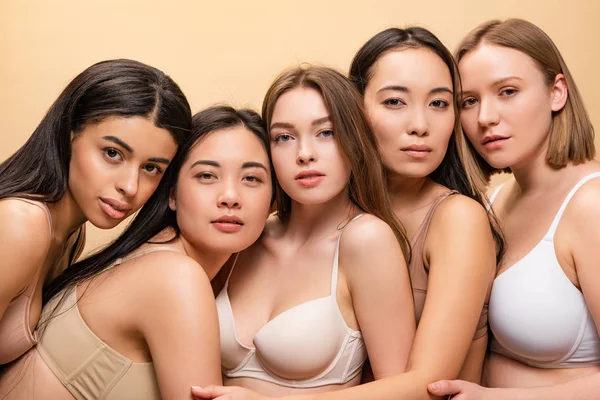 Cinco mulheres multiculturais bonitas posando na câmera juntas isoladas no bege — Fotografia de Stock