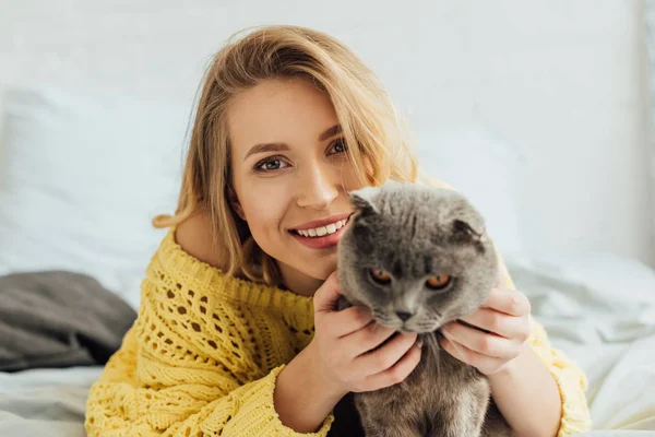 Красивая улыбающаяся девушка в трикотажном свитере смотрит в камеру и обнимает шотландского кота в постели — стоковое фото