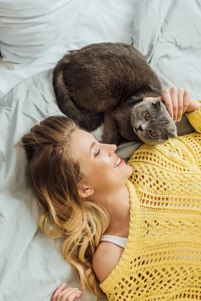 Vista superior da bela menina sorridente em camisola de malha acariciando escocês dobra gato enquanto deitado na cama em casa — Fotografia de Stock