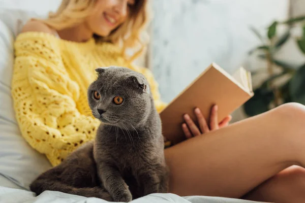 Vista parcial de la joven leyendo libro mientras está acostada en la cama con el gato pliegue escocés - foto de stock