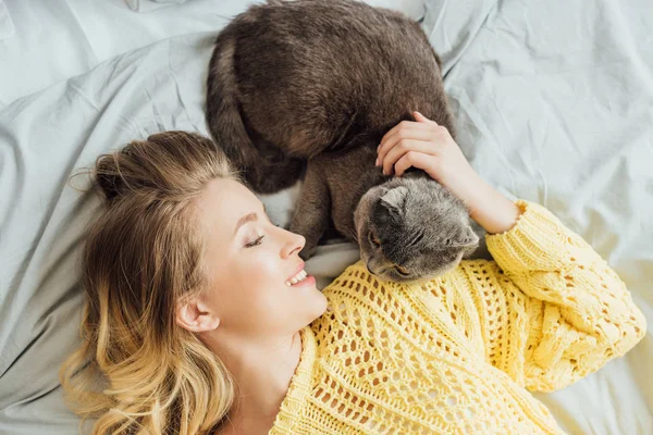 Vista superior de hermosa chica sonriente en suéter de punto acariciando gato pliegue escocés mientras está acostado en la cama en casa - foto de stock