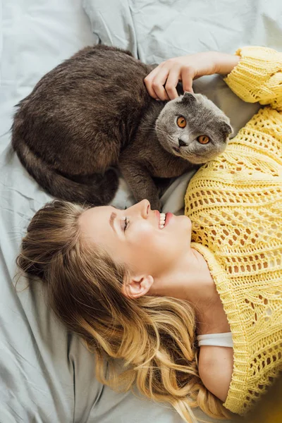 Draufsicht der schönen lächelnden jungen Frau, die mit schottischer Faltkatze im Bett liegt — Stockfoto