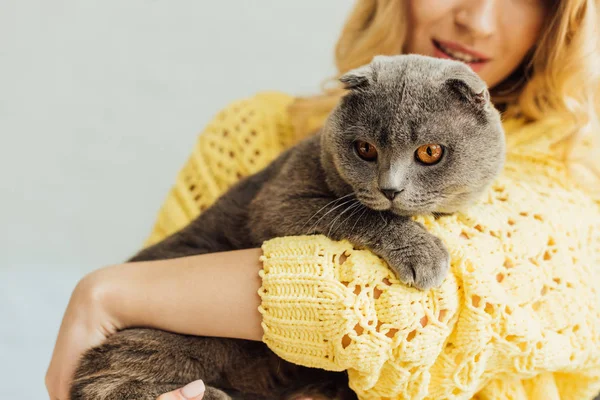 Corte vista de menina em camisola de malha abraçando adorável escocês dobra gato em casa — Fotografia de Stock