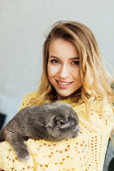 Bela menina sorridente em camisola de malha olhando para a câmera e abraçando adorável escocês dobra gato — Fotografia de Stock