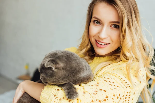 Beautiful smiling girl in knitted sweater looking at camera and hugging cute scottish fold cat — Stock Photo