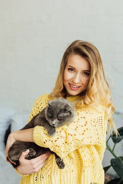 Bela menina sorridente em camisola de malha olhando para a câmera e abraçando bonito escocês dobra gato — Fotografia de Stock