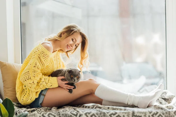 Красивая улыбающаяся молодая женщина обнимает шотландского складного кота, сидя на подоконнике с копировальным пространством — стоковое фото