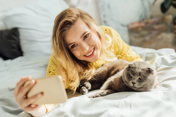 Вибірковий фокус красивої усміхненої молодої жінки, яка бере селфі на смартфон, лежачи в ліжку з шотландським складним котом — стокове фото