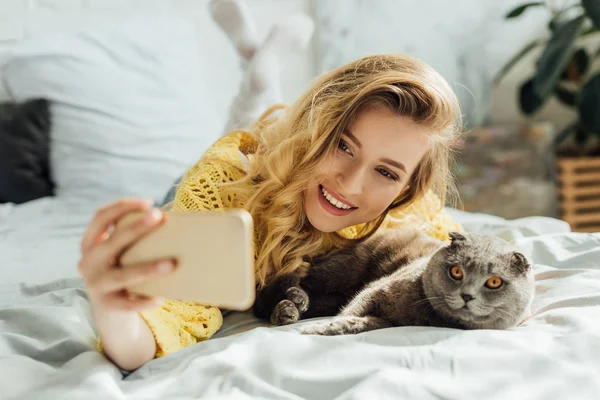 Foyer sélectif de belle jeune femme prenant selfie sur smartphone tout en étant couché au lit avec chat pliant écossais — Photo de stock