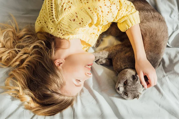Vue de dessus de belle fille souriante caressant chat écossais pli tout couché dans le lit à la maison — Photo de stock