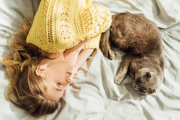 Vista superior da bela jovem mulher dormindo na cama com escocês dobra gato — Fotografia de Stock