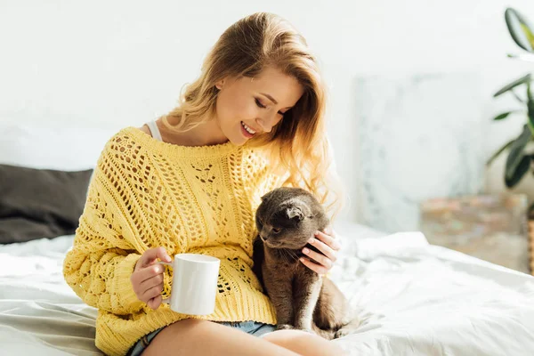 Bela jovem com xícara de café sentado na cama e abraçando escocês dobra gato — Fotografia de Stock