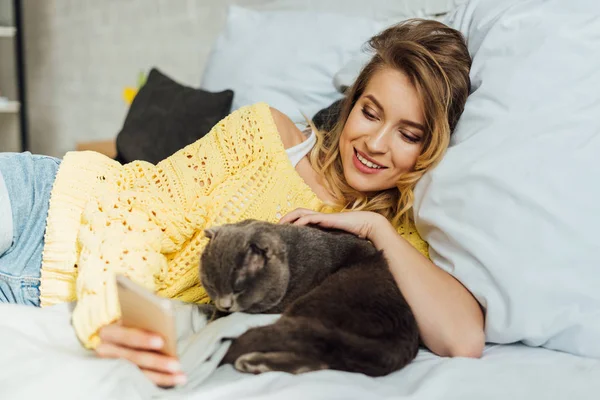 Красива молода жінка використовує смартфон, лежачи в ліжку з шотландським складним котом — стокове фото