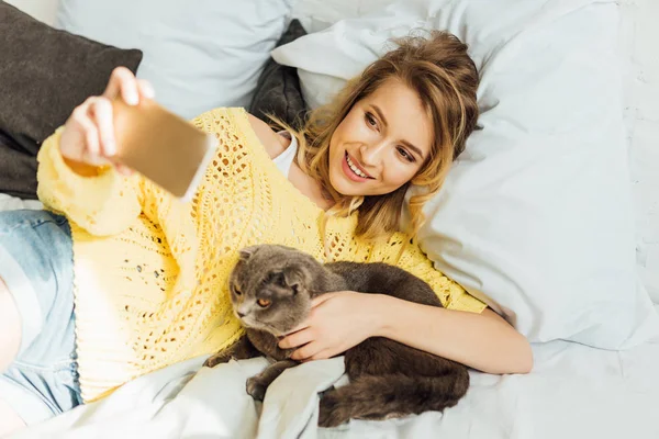 Aus der Vogelperspektive: Schöne junge Frau macht Selfie mit Smartphone, während sie mit schottischer Faltkatze im Bett liegt — Stockfoto