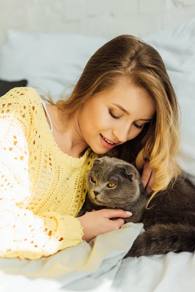 Красива молода жінка в трикотажному светрі лежить в ліжку і обіймає шотландського складного кота — стокове фото