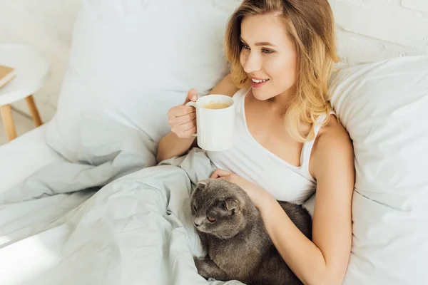 Красивая блондинка с чашкой кофе лежит в постели и гладит шотландский складной кот — стоковое фото