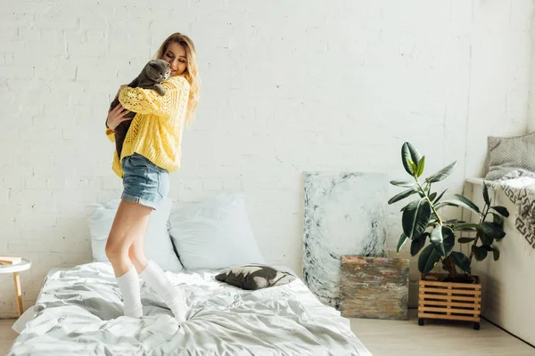Hermosa chica en suéter de punto abrazando gato pliegue escocés en el dormitorio con espacio de copia - foto de stock