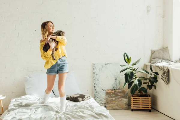 Hermosa chica en suéter de punto abrazando gato pliegue escocés en el dormitorio con espacio de copia - foto de stock