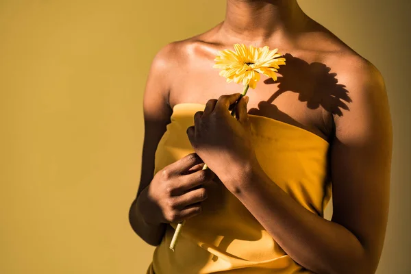 Vista recortada de mujer afroamericana sosteniendo flor en marrón - foto de stock