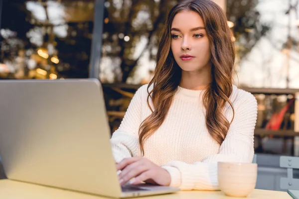 Freelancer atraente usando laptop enquanto trabalhava no café — Fotografia de Stock
