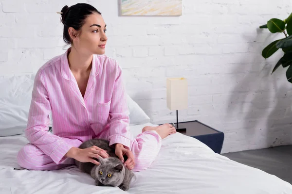 Pensive Woman Britain Shorthair Cat Looking Away While Resting Bed — Stock Photo, Image