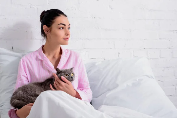 Shorthair 고양이 집에서 침대에 잠겨있는 여자의 초상화 — 스톡 사진