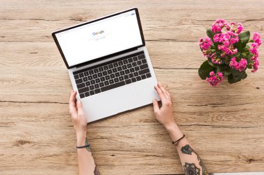 google logo ve kalanhoe bitki saksı ile dizüstü bilgisayar ile masa üstü kadına kısmi görünümünü