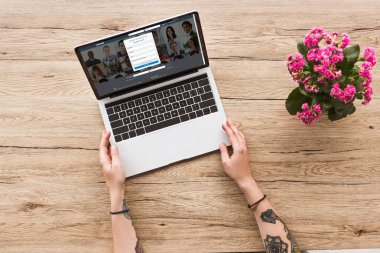 kısmi LinkedIn logo ve kalanhoe bitki saksı ile dizüstü bilgisayar ile masa üstü kadına bakış