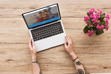 couchsurfing Web sitesi kalanhoe bitki saksı ile dizüstü bilgisayar ile masa üstü kadına kısmi görünümünü