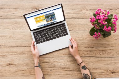 kısmi bookingcom logo kalanhoe bitki saksı ile dizüstü bilgisayar ile masa üstü kadına bakış