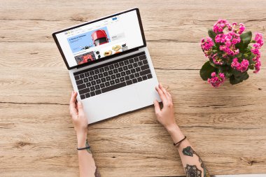 kısmi masa laptop ile ebay Web sitesi kalanhoe bitki saksı ile kadına bakış