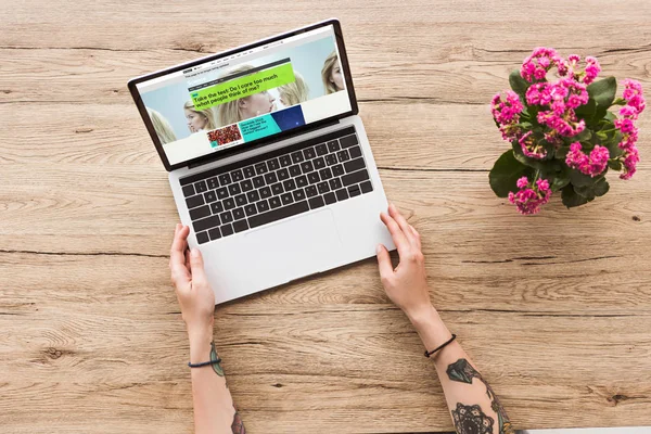 植木鉢の Bbc のウェブサイト Kalanhoe 工場付きのノート パソコン卓上で女性の部分的なビュー — ストック写真