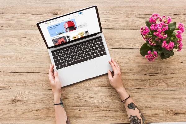 Partial View Woman Tabletop Laptop Ebay Website Kalanhoe Plant Flowerpot — Stock Photo, Image